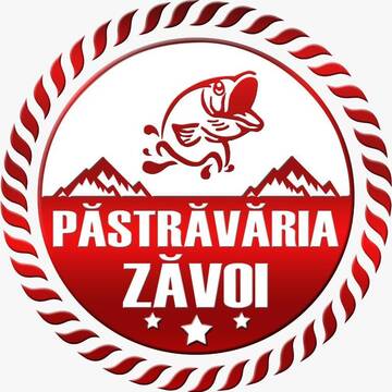 Фото номера Улучшенный номер с кроватью размера «king-size» Кемпинги Pastravaria Zavoi г. Valea Danului 24
