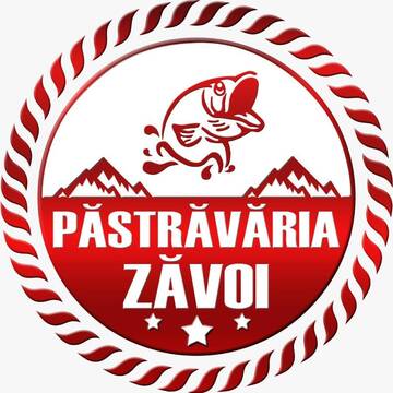 Фото номера Улучшенный номер с кроватью размера «king-size» Кемпинги Pastravaria Zavoi г. Valea Danului 10